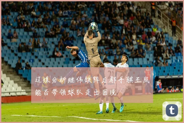 辽媒分析继伟缺阵后鄢手骐王岚嵚能否带领球队走出困境