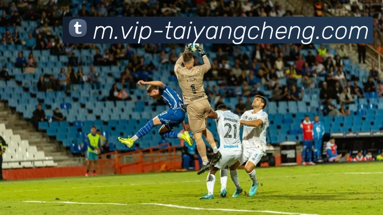 App Interface Preview